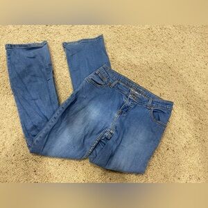 Arizona Jean Company Classic Blue Jeans